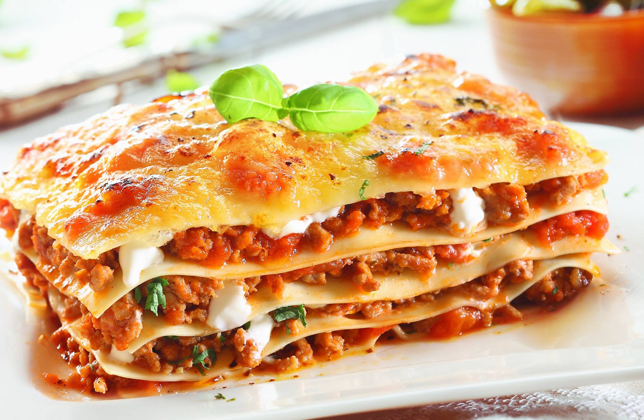 lasagne2